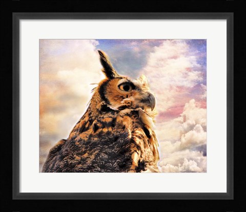 Framed Majestic Great Horned Owl Print