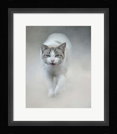 Framed Out Of The Mist Print