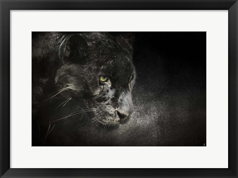 Framed Out Of The Shadows Black Leopard Print