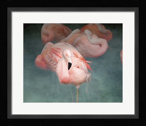 Framed Pink Flamingo 1 Print