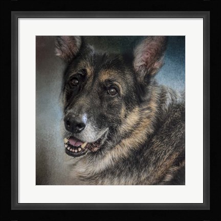 Framed Portrait Of A Shepherd Print
