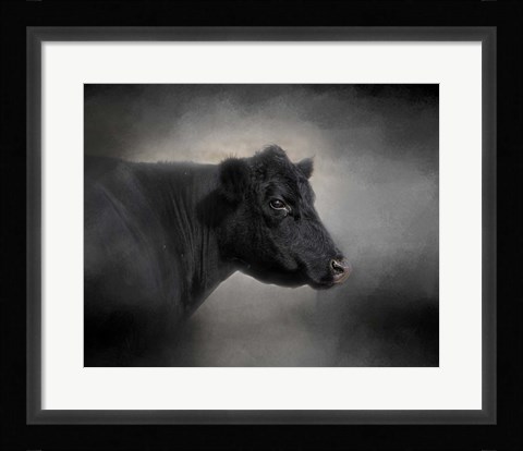 Framed Portrait Of The Black Angus Print