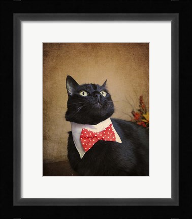 Framed Ready For Dinner Print