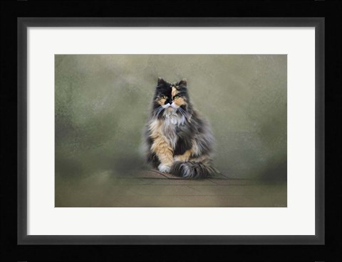 Framed Rooftop Roost Print