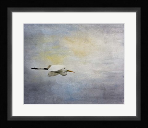 Framed Silent Flight Great White Egret Print