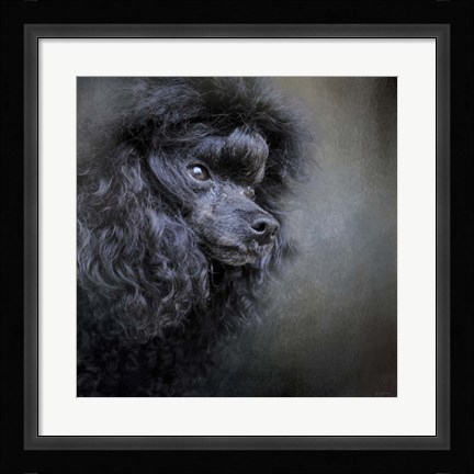 Framed Snack Spotter Toy Black Poodle Print