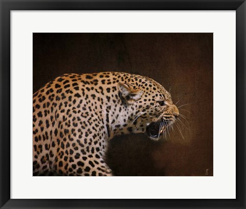 Framed Snarling Leopard Print