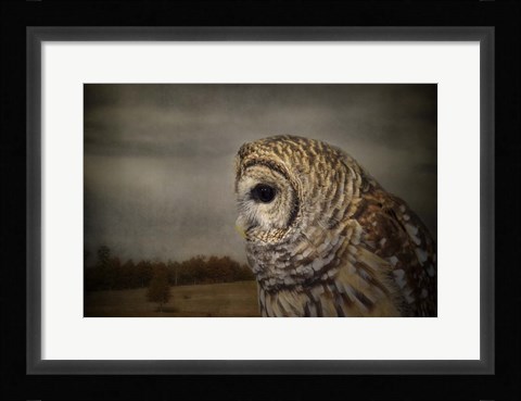 Framed Surveyor Print