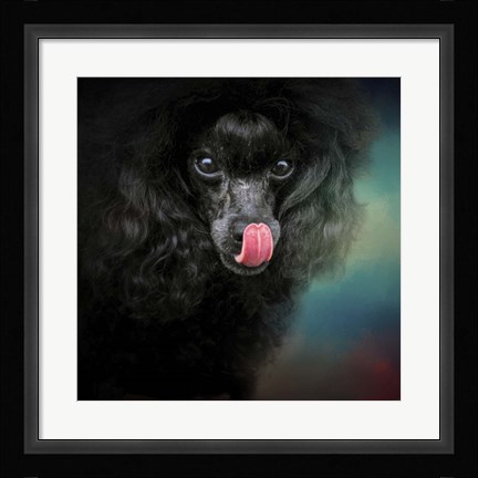 Framed Treat Snatcher Toy Black Poodle Print