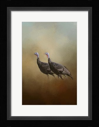 Framed Wild Turkey At Shiloh Print