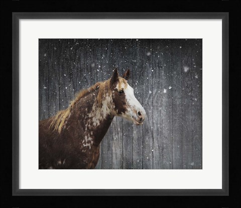 Framed Winters Arrival Horse Print