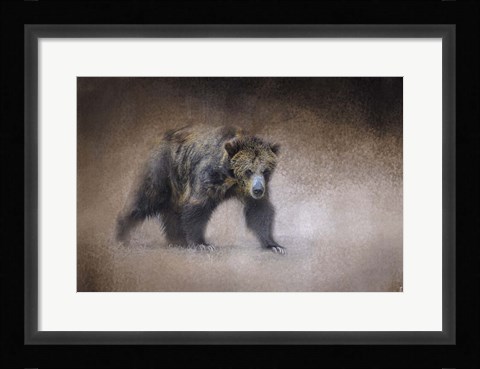 Framed Young Grizzly Bear Print