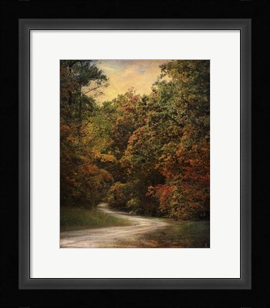 Framed Autumn Forest 1 Print