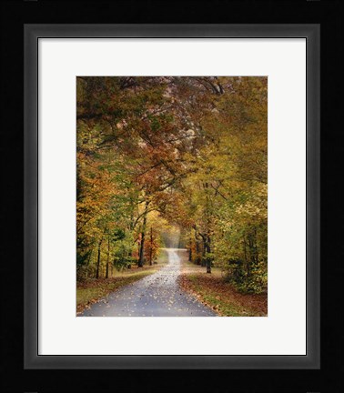 Framed Autumn Passage 4 Print