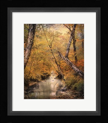 Framed Autumn Riches 1 Print