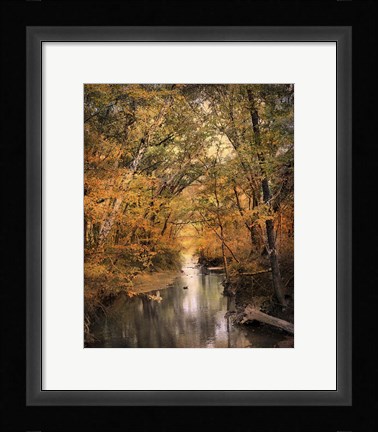 Framed Autumn Riches 2 Print
