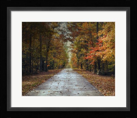 Framed Changing Season 2 Print