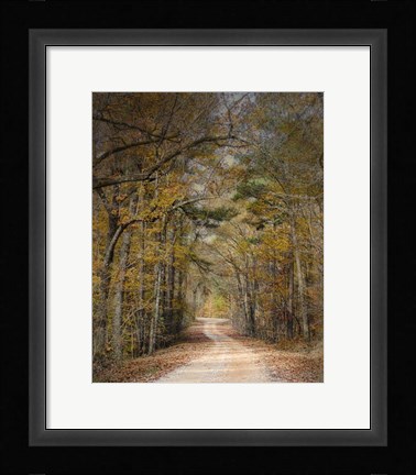 Framed Chickasaw Forest In Autumn 2 Print