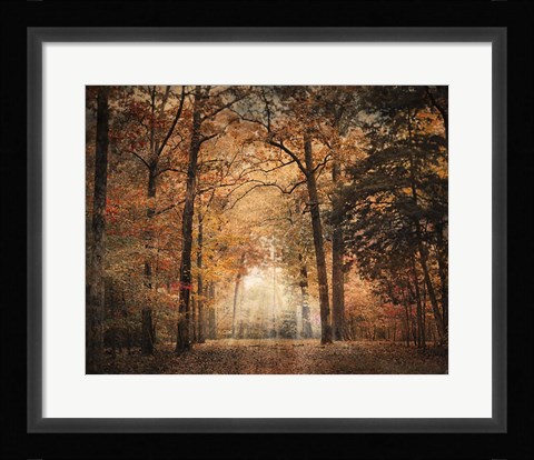 Framed Clearing Print