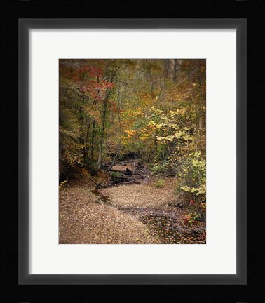 Framed Creek Bed In Autumn Print