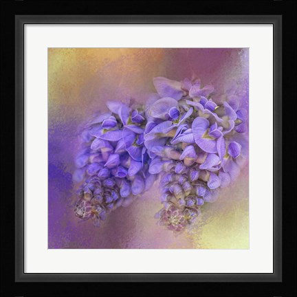 Framed Enticing Wisteria Print