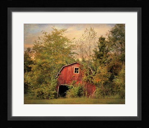 Framed Forgotten Treasure Print