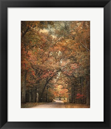 Framed Grove Of Memories Print