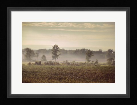 Framed Lifting Fog Print