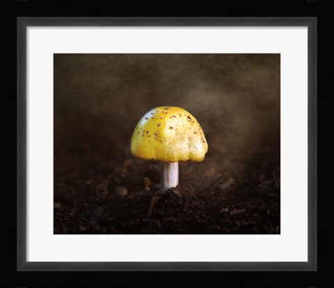 Framed Little Yellow Mushroom Print
