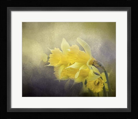 Framed Out Of The Darkness Print