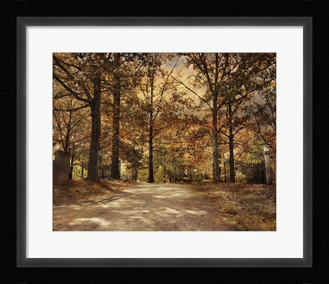 Framed Secluded Entrance Print