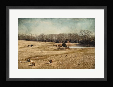 Framed Sheep In The Meadow Print
