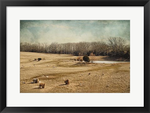 Framed Sheep In The Meadow Print