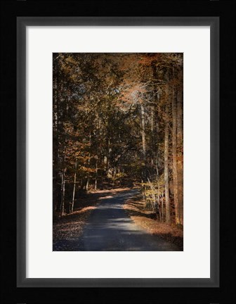 Framed Sunlit Autumn Path Print