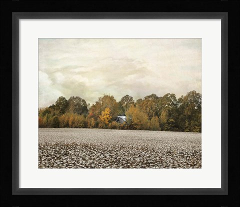 Framed Old Cotton Barn Print