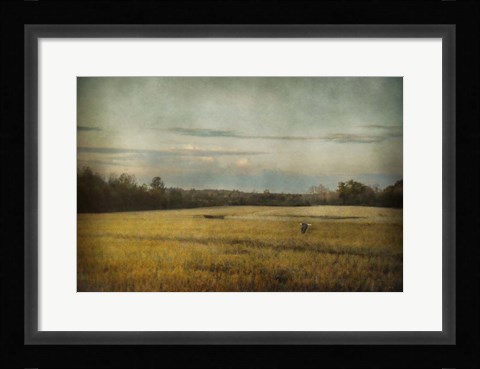 Framed Sunrise Hour Print