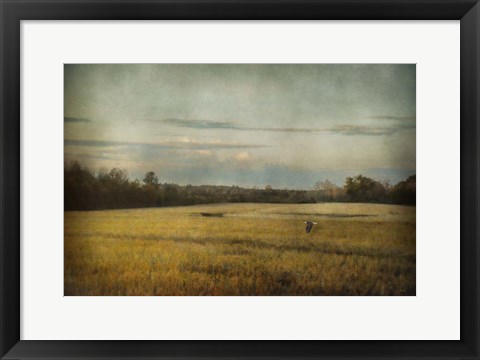 Framed Sunrise Hour Print