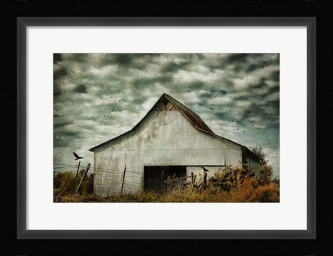 Framed Where The Crows Roost In Autumn Print