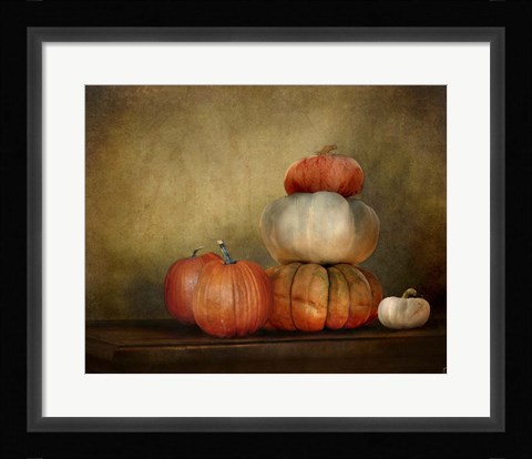 Framed Pumpkins Still Life Print