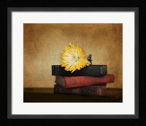 Framed Classics Print