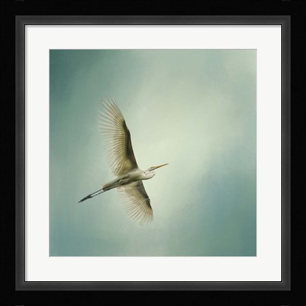 Framed Egret Overhead Print