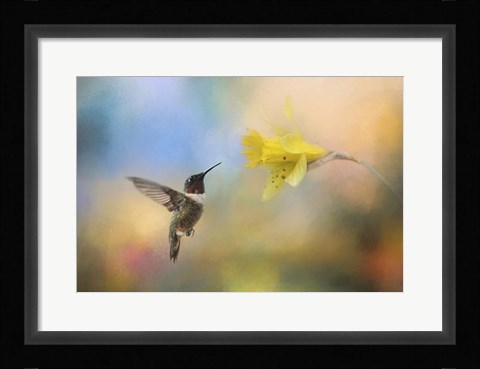 Framed Garden Visitor Print