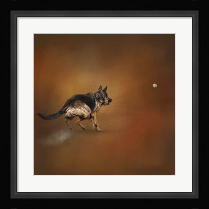 Framed Gimme That Ball German Shepherd Print