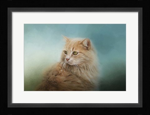 Framed Over Her Shoulder Print