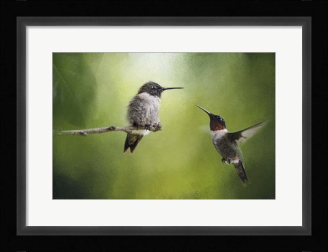 Framed Wake Up Call Hummingbirds Print