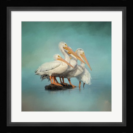 Framed We Are Family White Pelicans Print