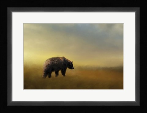Framed Where The Grizzly Roams Print
