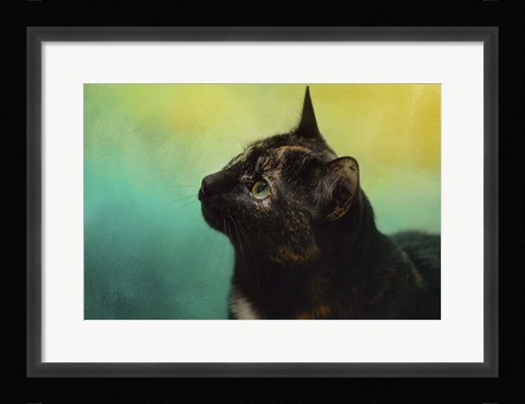 Framed By The Light Of The Sea Print