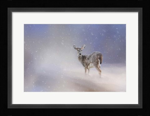 Framed Doe In The Snow Print