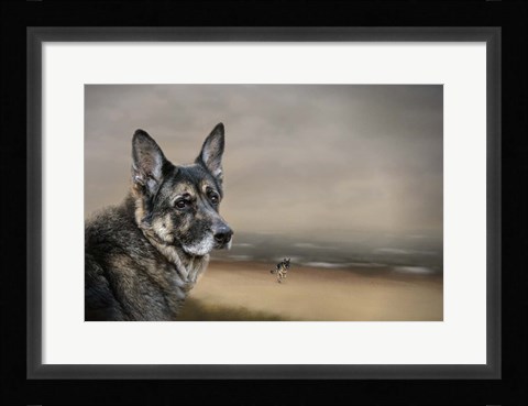 Framed German Shepherd Dreaming Of The Beach Print